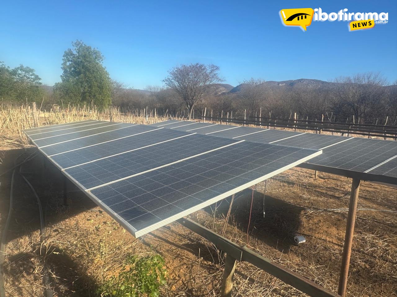 Brotas de Macaúbas: Polícia desmonta plantação de maconha com energia solar
