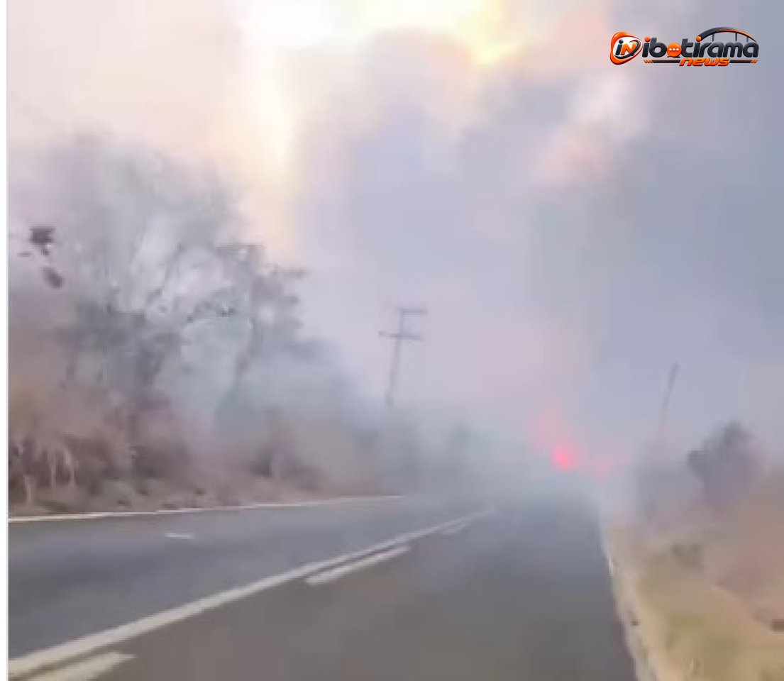 Um incêndio de grandes proporções atingiu a vegetação da Serra da Bandeira