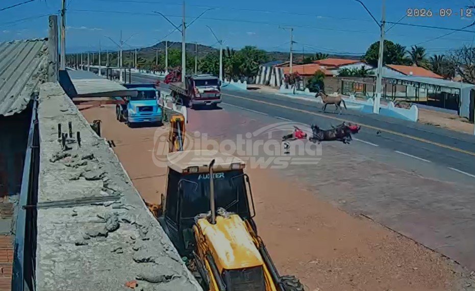 Cavalo solto atravessa avenida e motociclista fica gravemente ferido em Oliveira dos Brejinhos