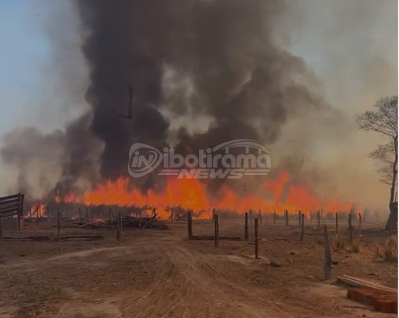  Fogo avança na zona rural de Serra Dourada, destrói pastagens e mata animais.